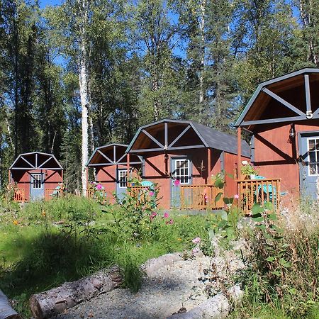 Dfa Cabin Rentals Talkeetna Exterior photo