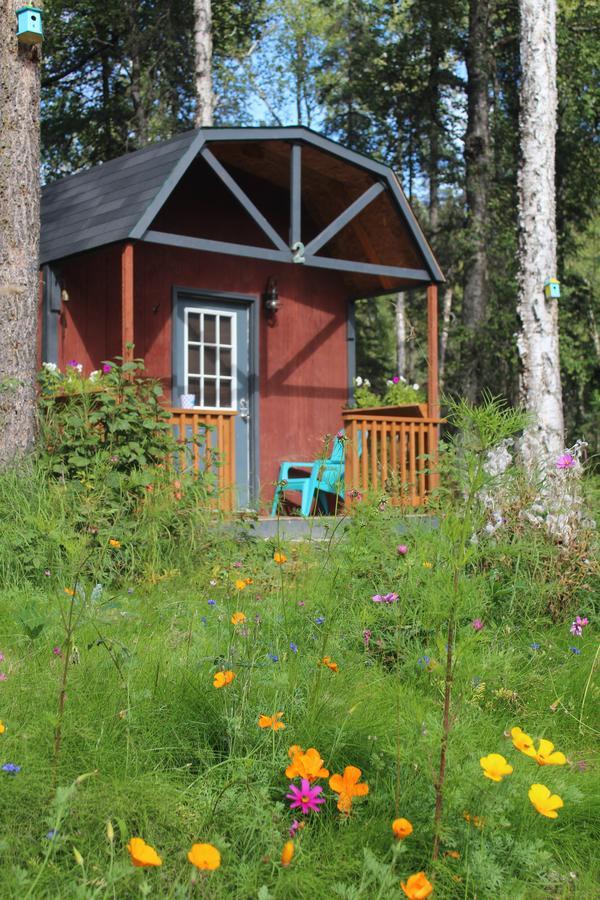 Dfa Cabin Rentals Talkeetna Exterior photo