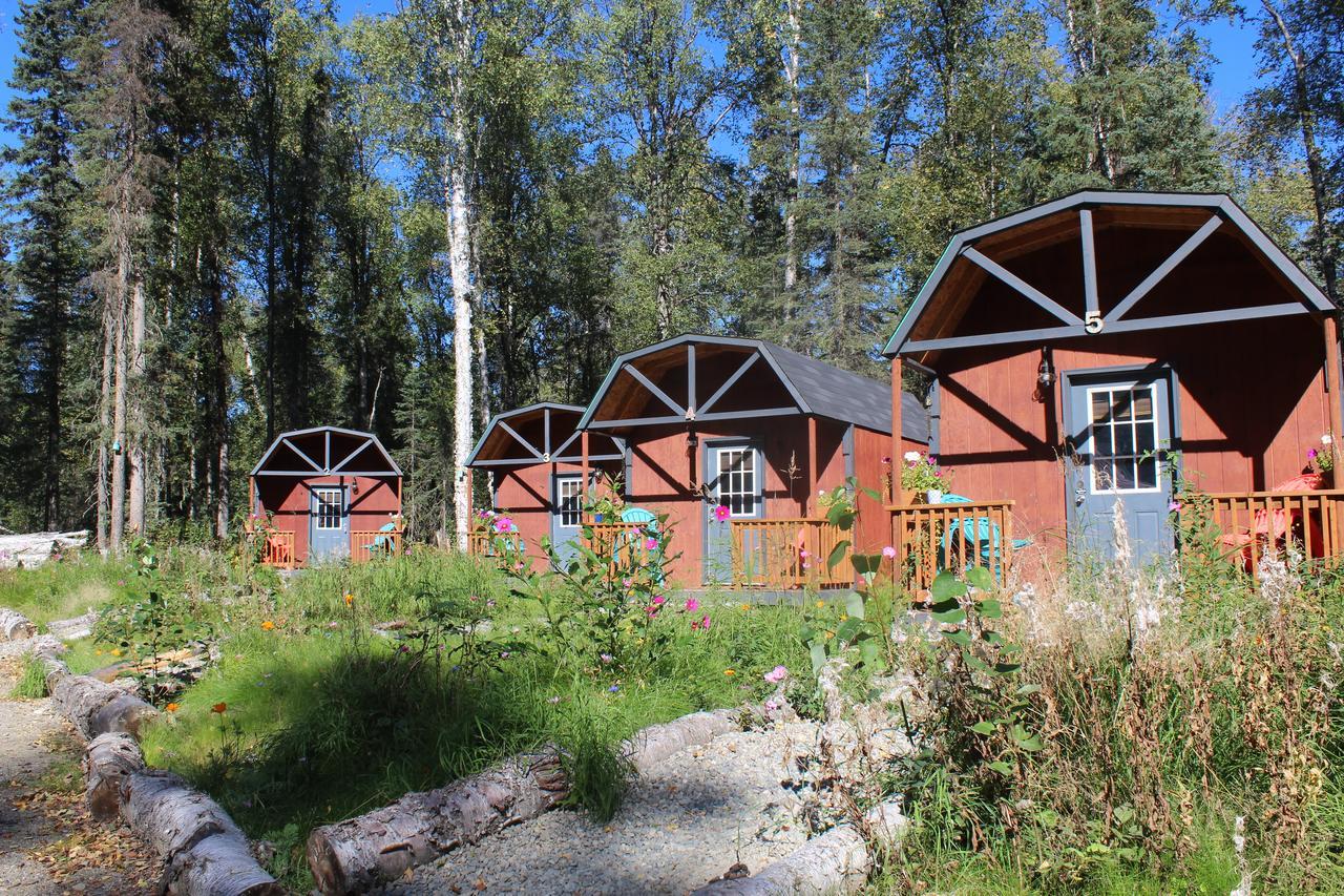 Dfa Cabin Rentals Talkeetna Exterior photo